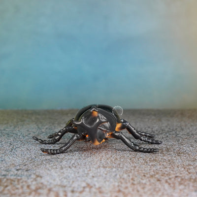Black Beetle Toy - Realistic, Fun-Inspiring Insect Replica for Kids and Collectors