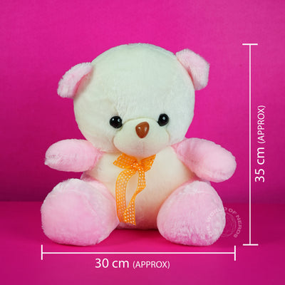 Teddy Bear Soft Toy - 2