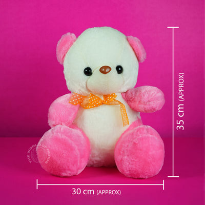Teddy Bear Soft Toy - 2