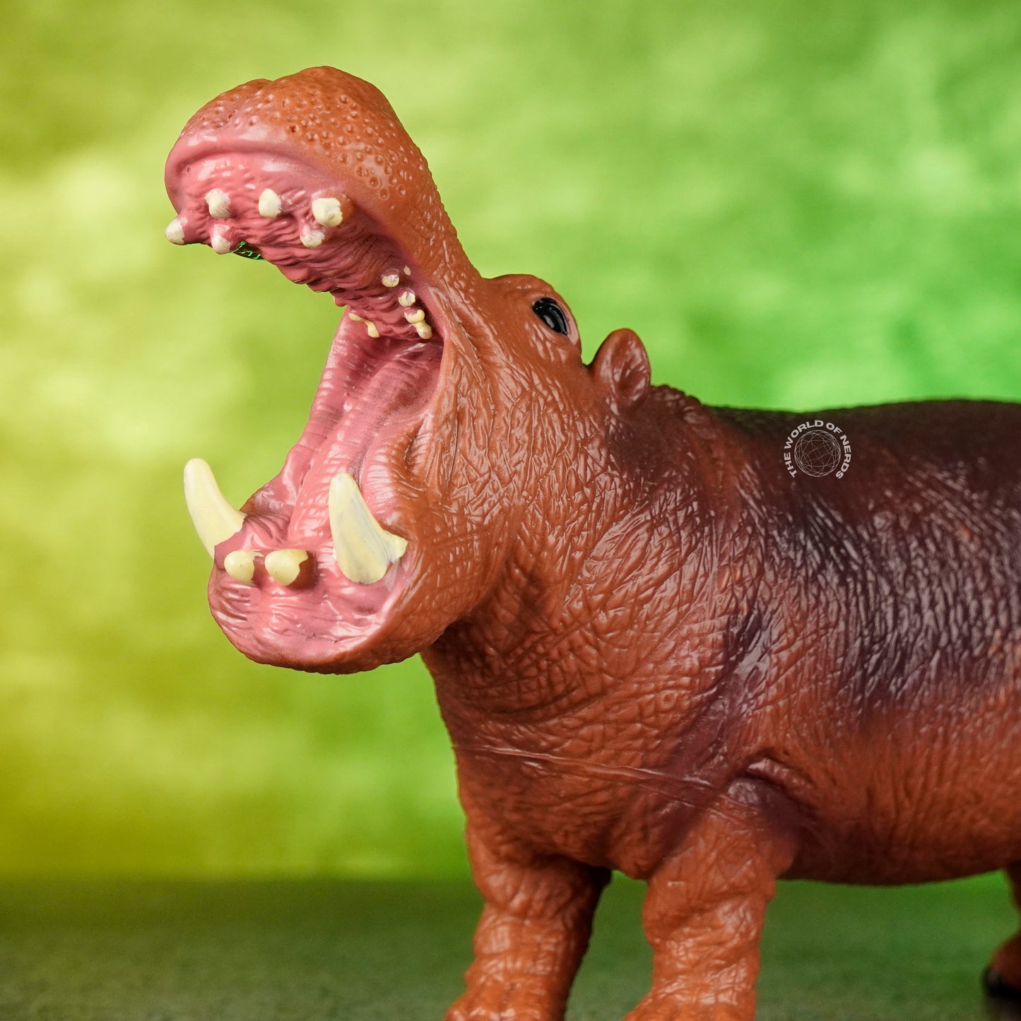 HIPPOPOTAMUS 1