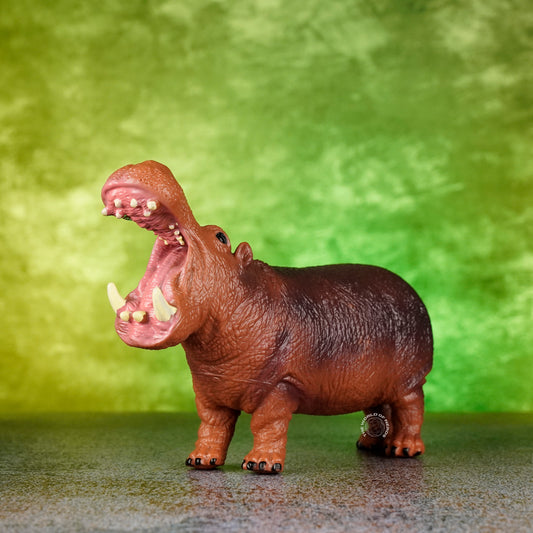 HIPPOPOTAMUS 1