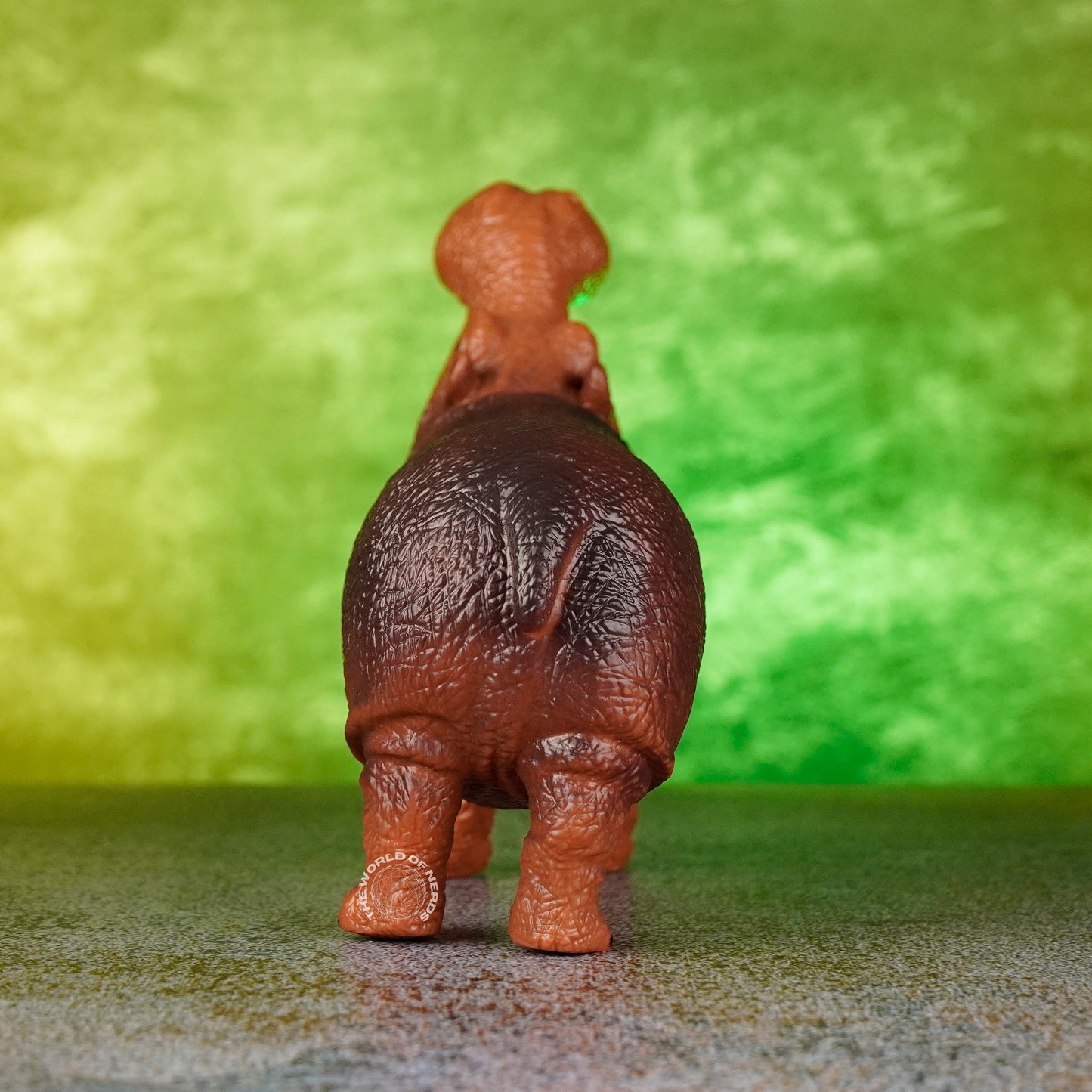 HIPPOPOTAMUS 1