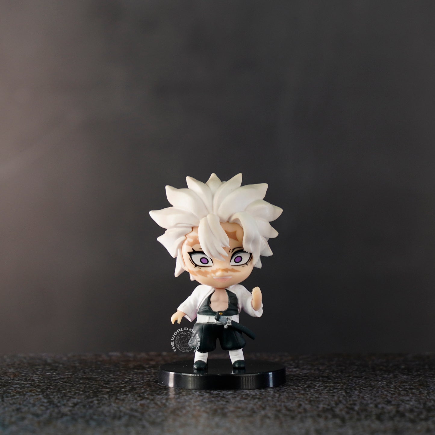 DEMON SLAYER HASHIRA SET OF 10 - The World Of Nerds