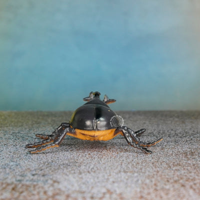 Black Beetle Toy - Realistic, Fun-Inspiring Insect Replica for Kids and Collectors - 2