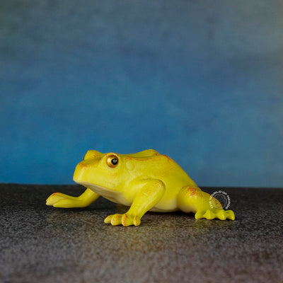 Frog Toy - Fun and Engaging Soft Plush for Kids - 2