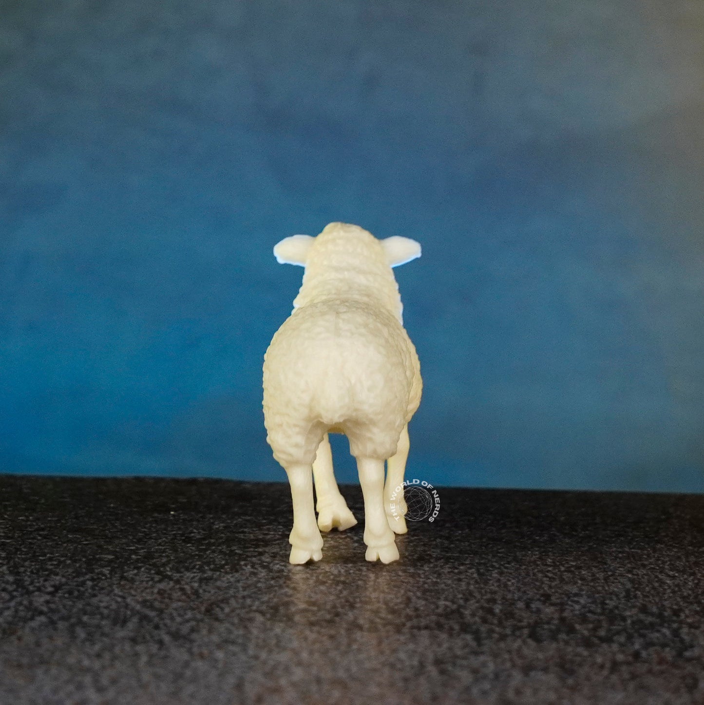 SHEEP