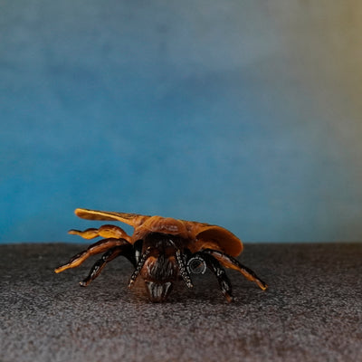 HONEYBEE Toy: Premium Honeybee Products for Health and Wellness