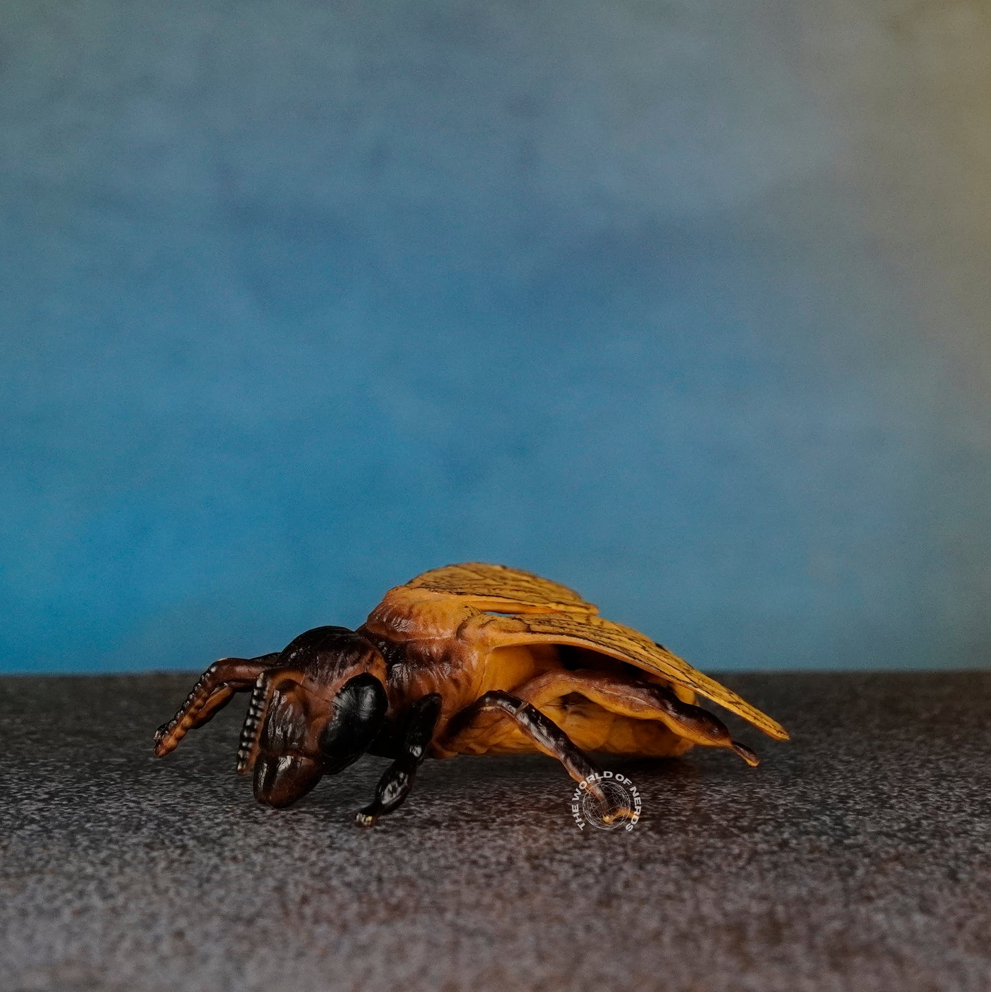 HONEYBEE
