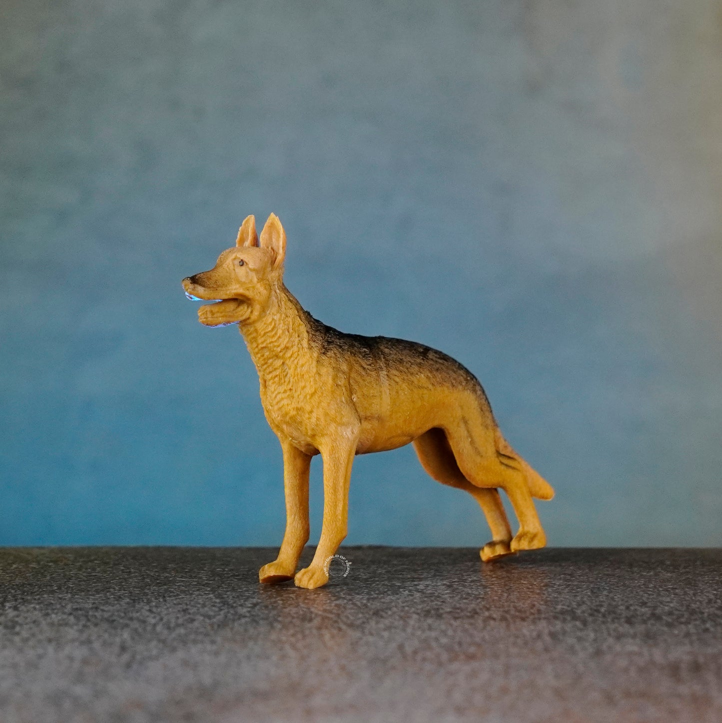DOG
