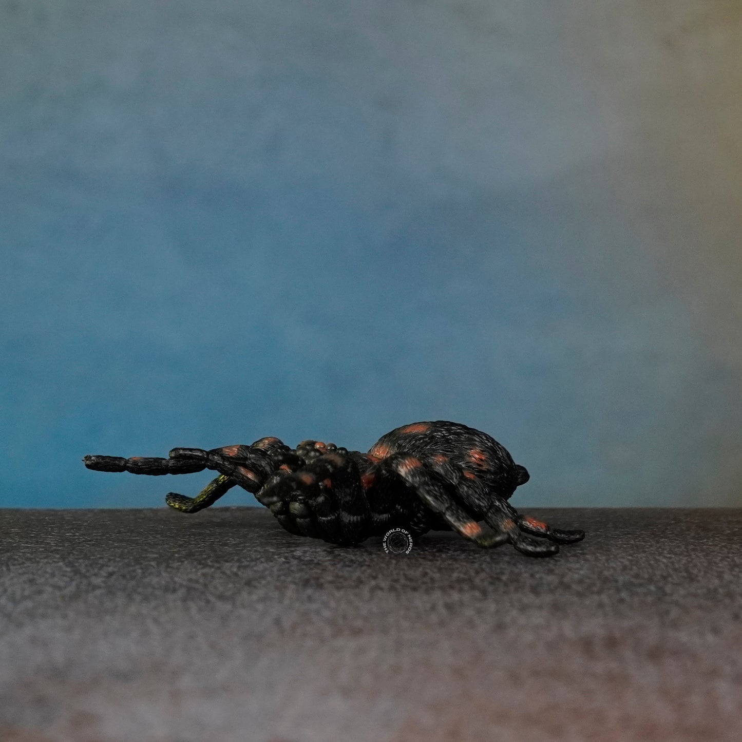 SPIDER