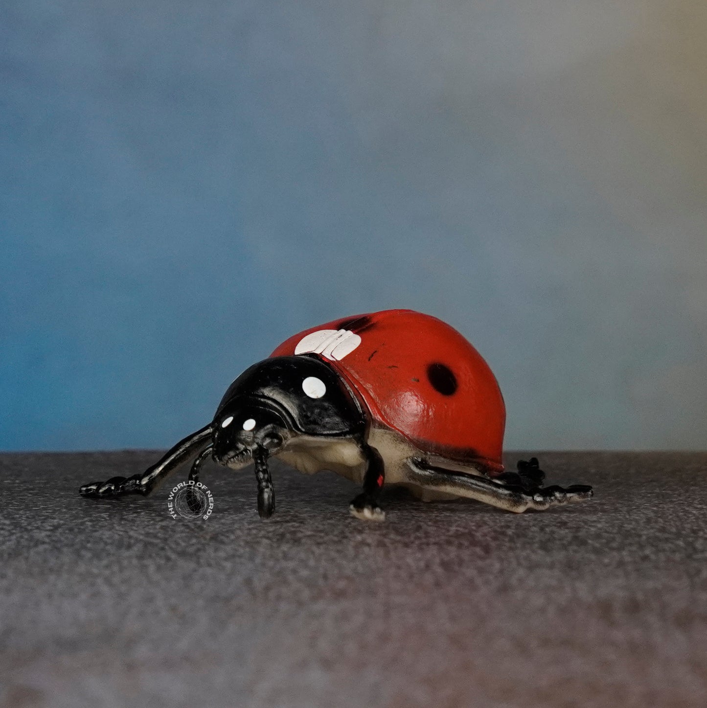 LADYBUG