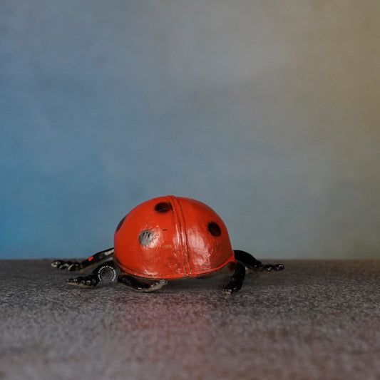 LADYBUG