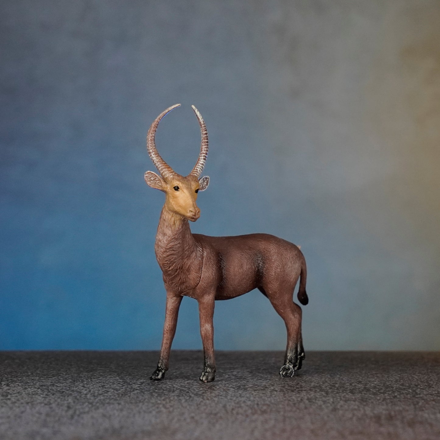 ANTELOPE 1