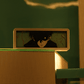 Chifuyu Matsuno Frame
