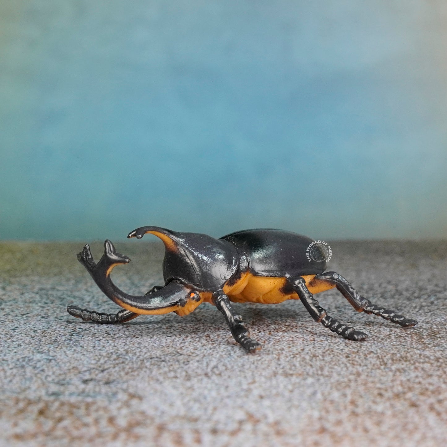 BLACK BEETLE