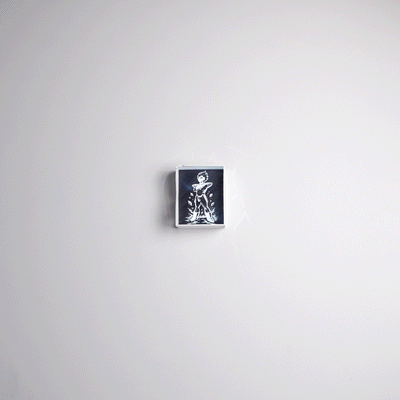 Vegeta Shadow Light Box – Anime LED Wall Decor
