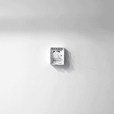 Edward Newgate Whitebeard Wanted Shadow Light Box – One Piece LED Wall Decor