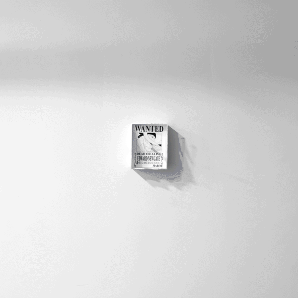 Edward Newgate Whitebeard Wanted Shadow Light Box – One Piece LED Wall Decor
