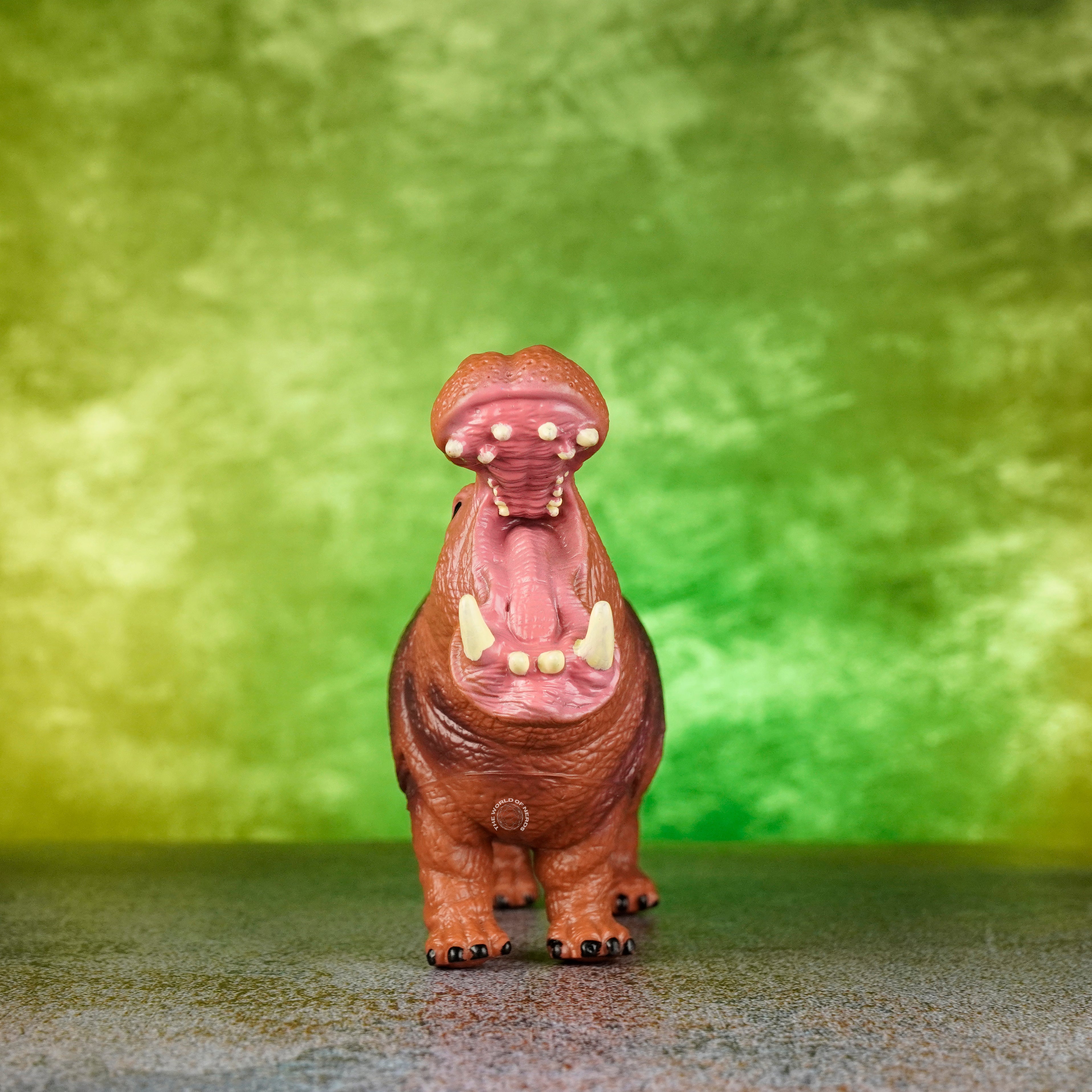 HIPPOPOTAMUS 1