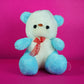 Teddy Bear Soft Toy – Blue - The World Of Nerds