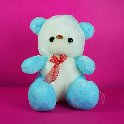 Teddy Bear Soft Toy – Blue