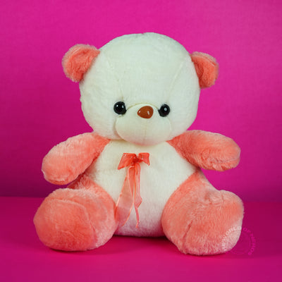 Teddy Bear Soft Toy