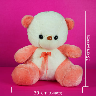 Teddy Bear Soft Toy - 2