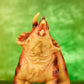 CARNATAURUS