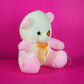 Teddy Bear Soft Toy - The World Of Nerds
