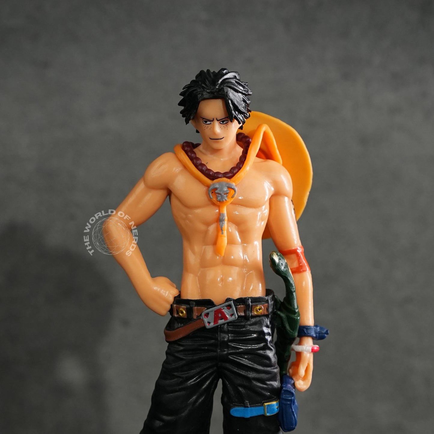 Portgas D. Ace: Brother's Legac