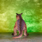TRICERATOPS BROWN