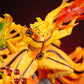 NARUTO WITH NINE TAILS - The World Of Nerds