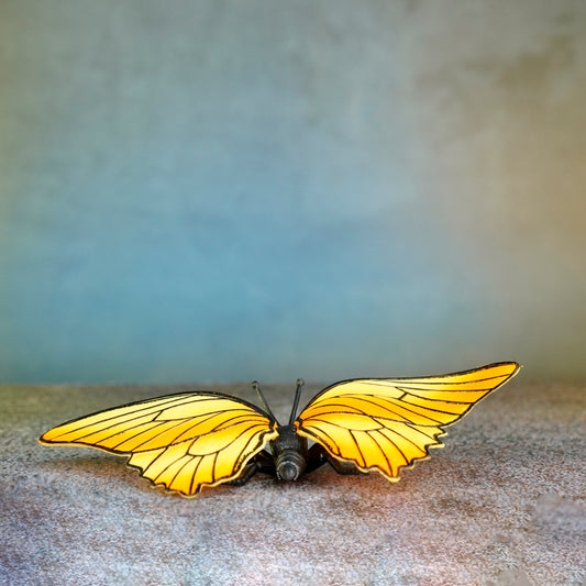 BUTTERFLY