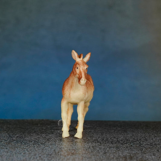 DONKEY