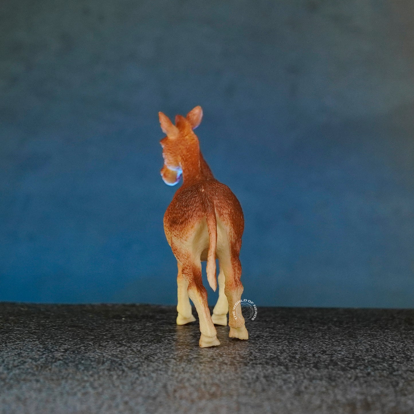 DONKEY