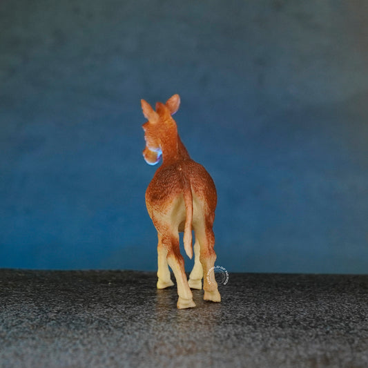 DONKEY