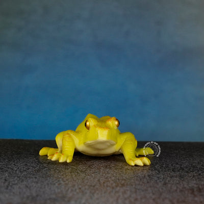 Frog Toy - Fun and Engaging Soft Plush for Kids