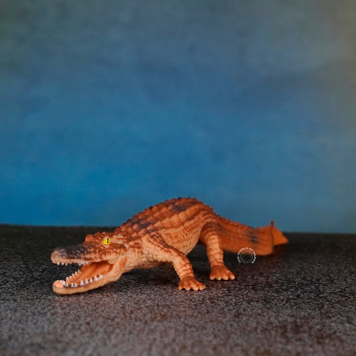 ALLIGATOR