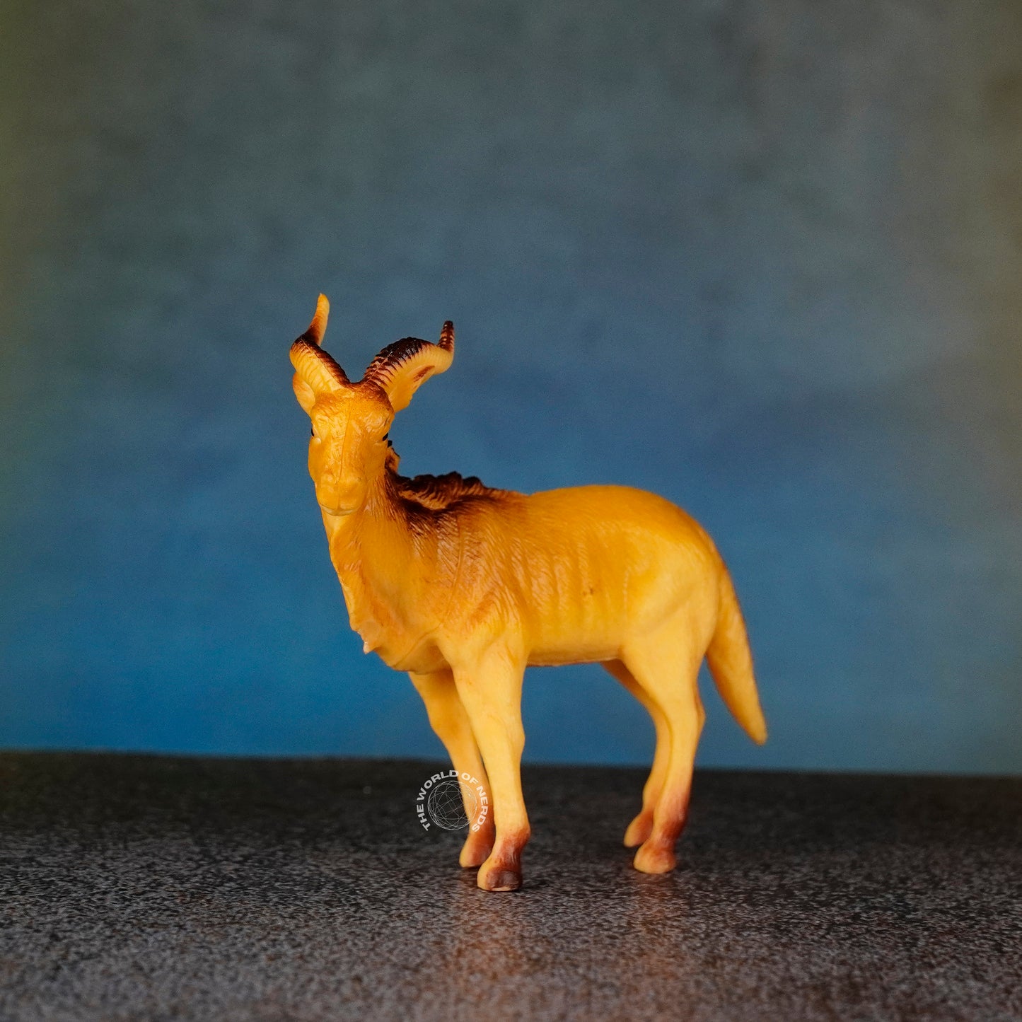 DEER