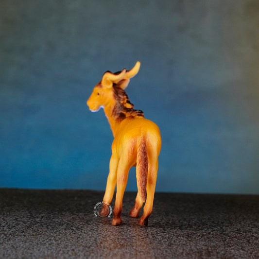 DEER