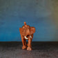 ELEPHANT D2