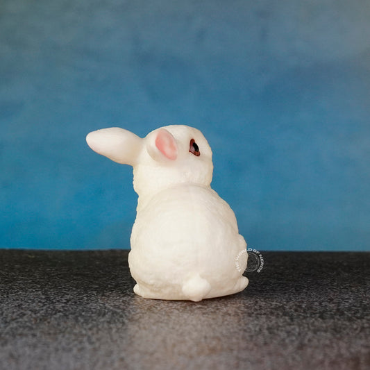 RABBIT
