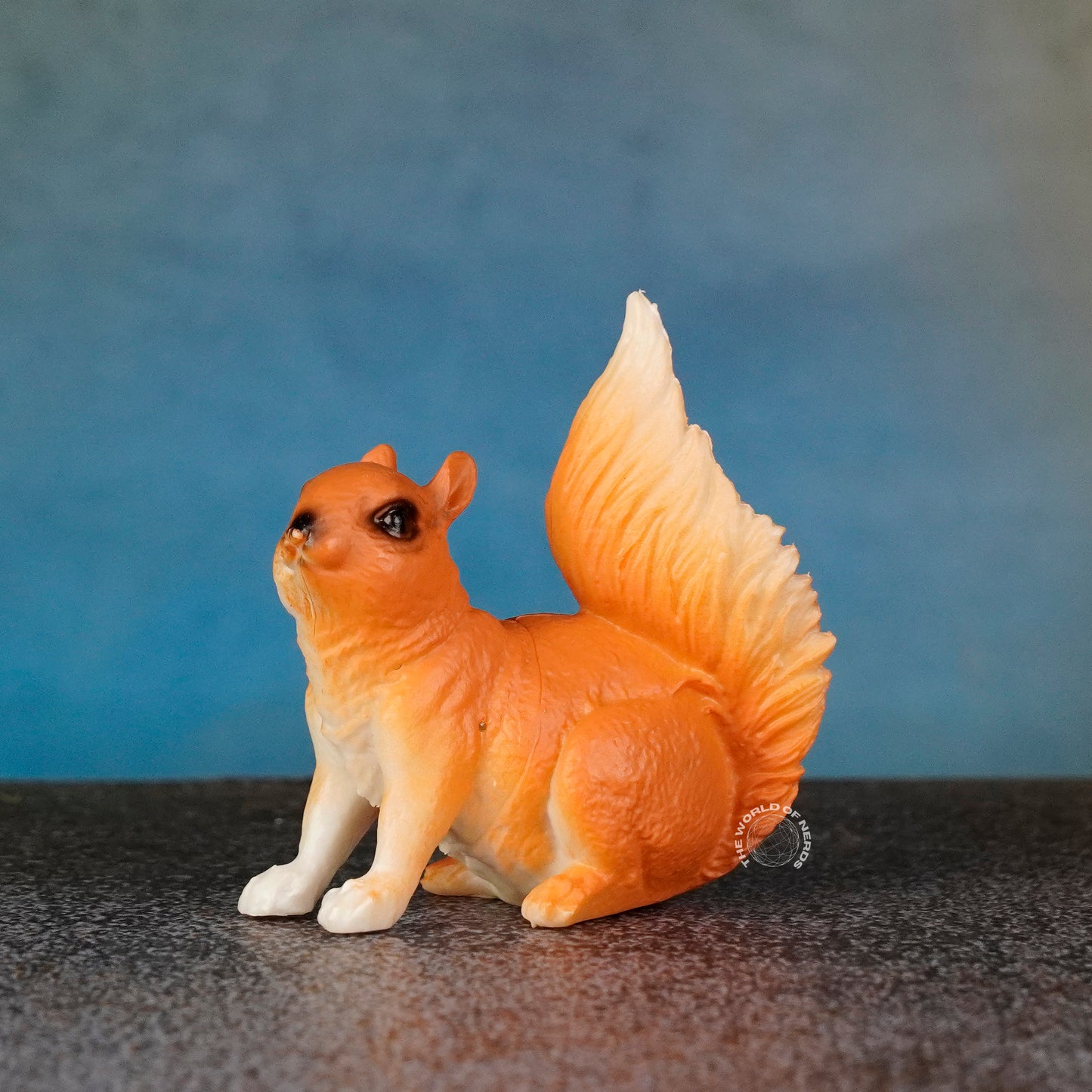 SQUIRREL