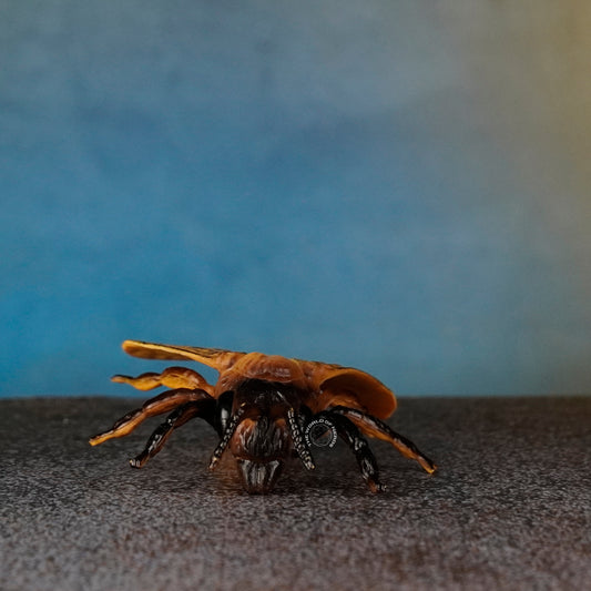 HONEYBEE