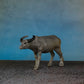 BUFFALO