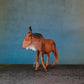 ANTELOPE 6
