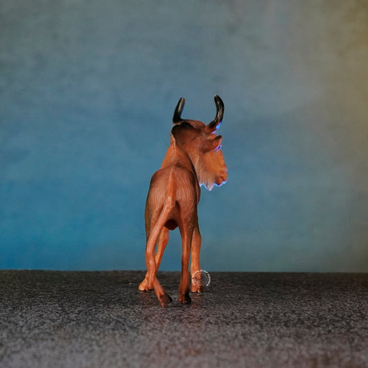 ANTELOPE 6