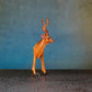 ANTELOPE 4