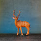 ANTELOPE 4