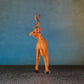 ANTELOPE 4